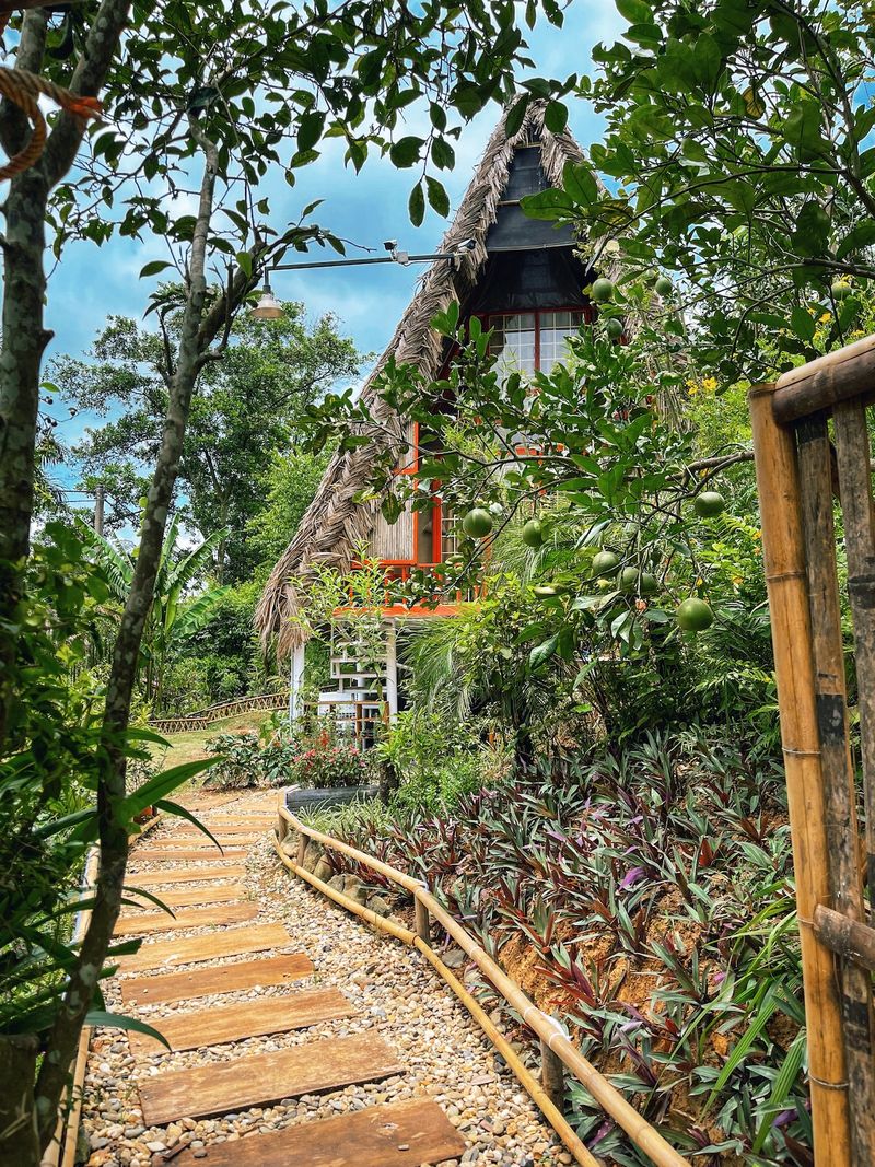 Không gian glamping và tiện ích