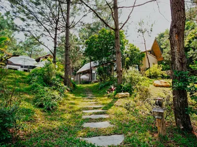 Khuôn viên và sân vườn