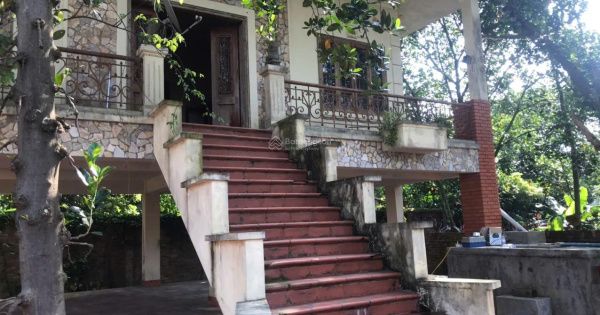 Mẫu kiến trúc và hoàn thiện nội khu