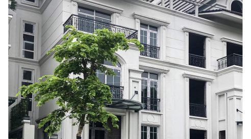 Khám phá chi tiết