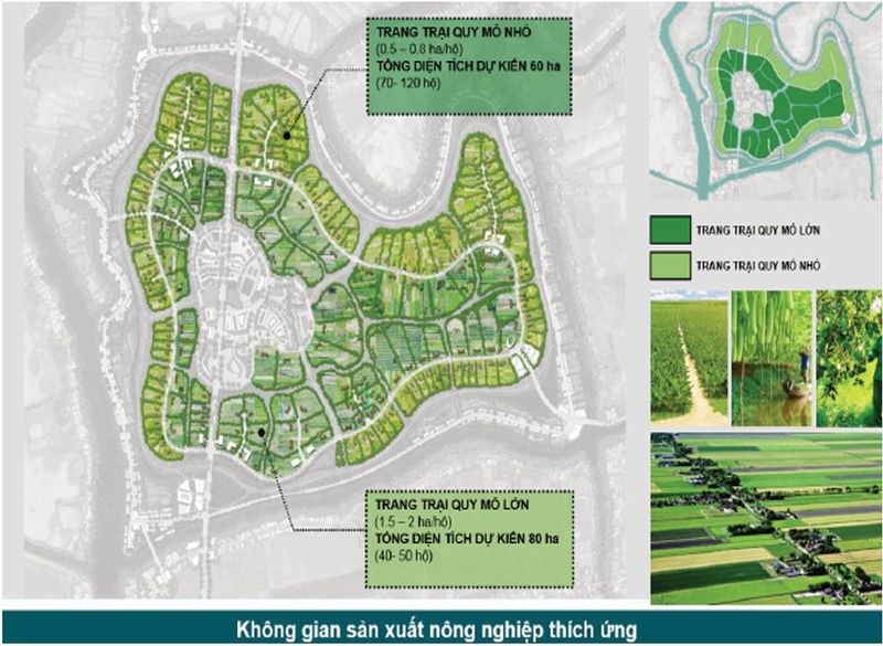 Cảnh quan trang trại