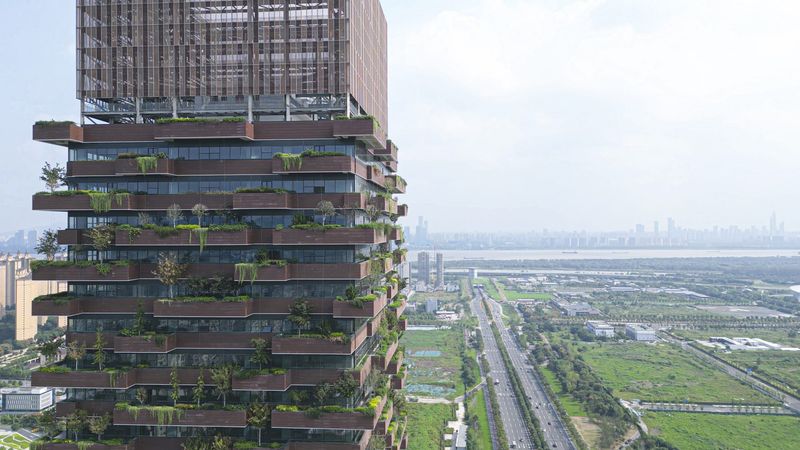 Toàn cảnh từ trên cao