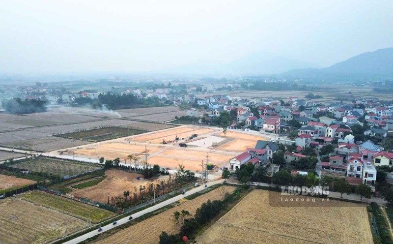 Ảnh thực địa Sóc Sơn