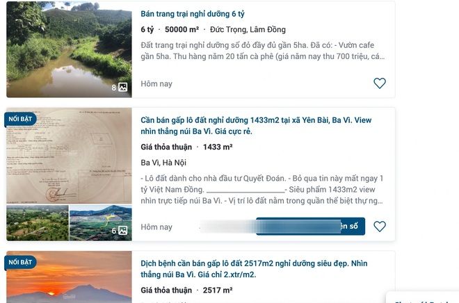 Hình ảnh trang trại hữu cơ