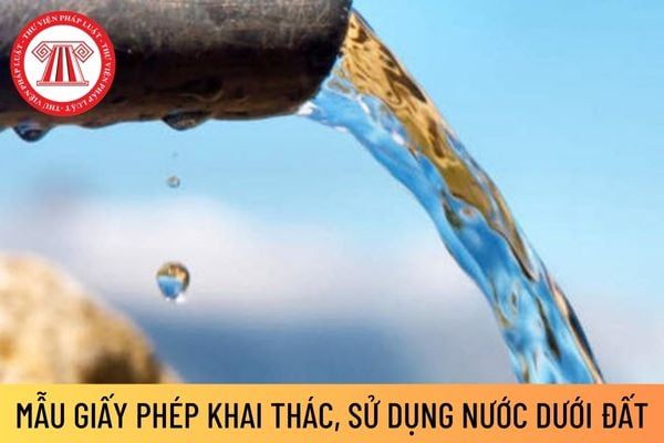 Giấy phép loại mẫu