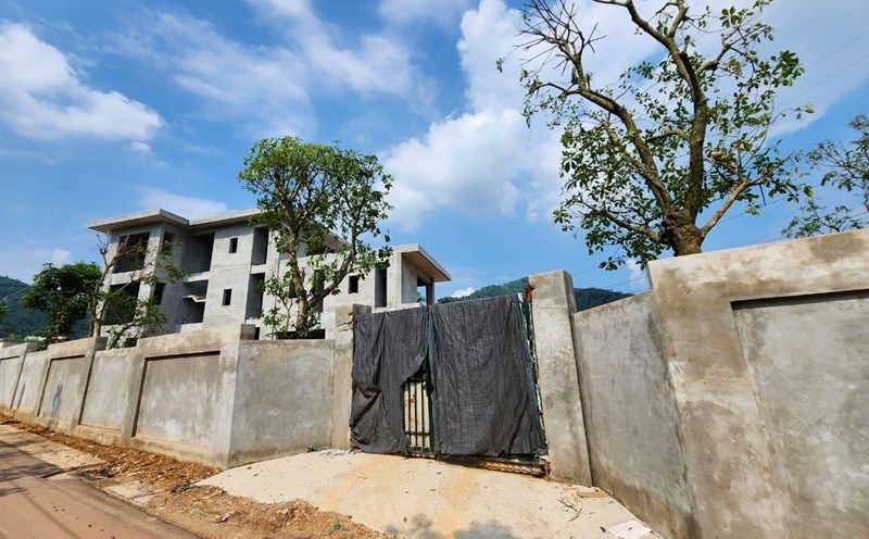 Không gian sống hòa quyện thiên nhiên