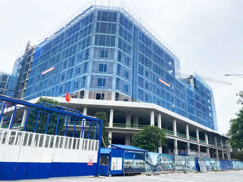 Hình ảnh minh họa 3