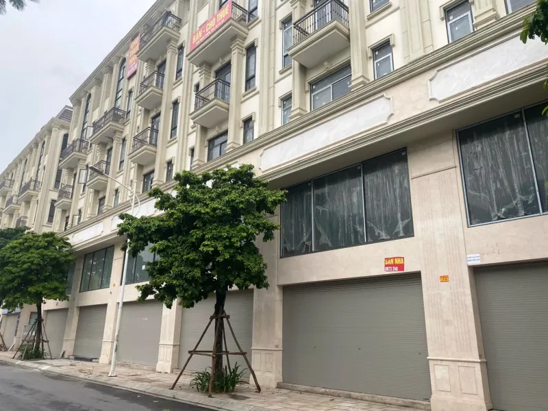 Minh họa dự án Van Phuc