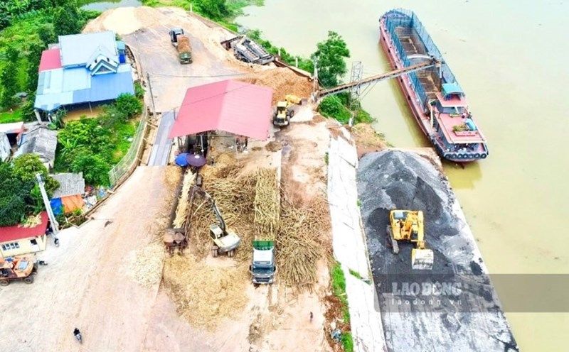 Nhà máy gỗ ven bờ thủy xã