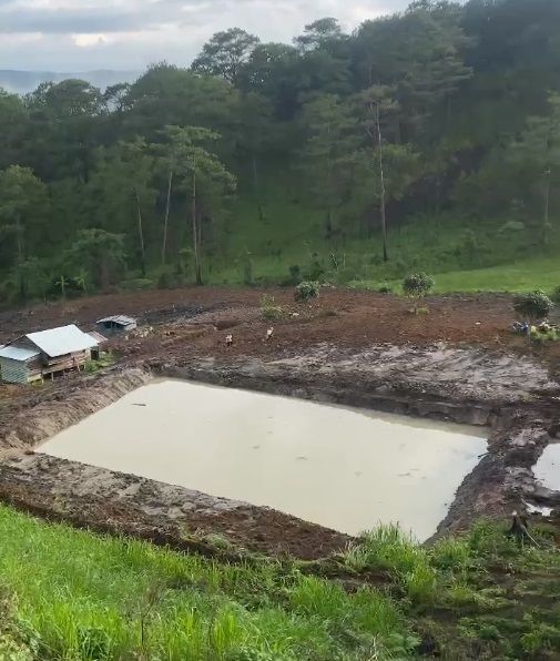 Toàn cảnh đất nông nghiệp