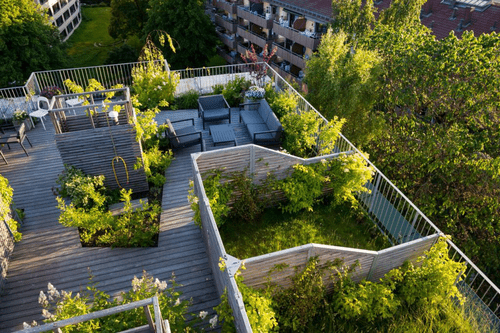 Khu vực trồng và không gian thao tác