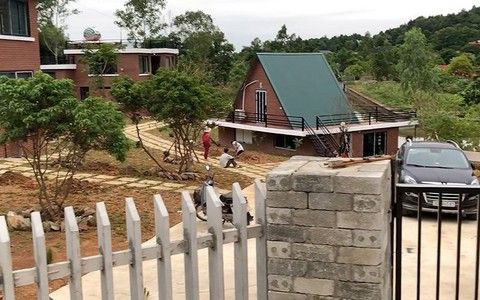 Không gian thư viện mở, ánh sáng tự nhiên và hệ giá sách cao kịch trần