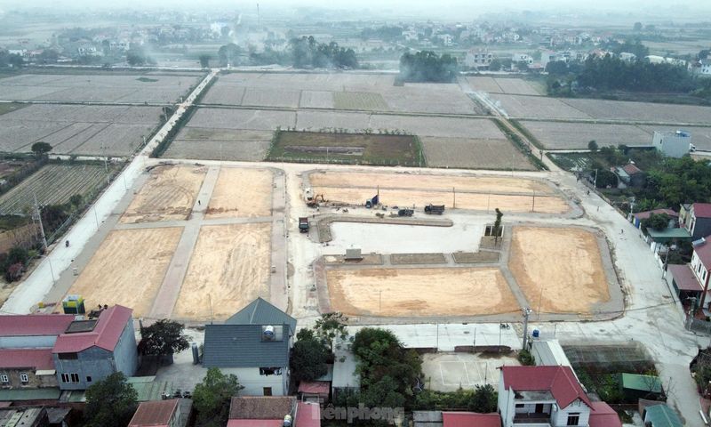 Phiên đấu giá đất