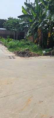 Ảnh minh họa dự án