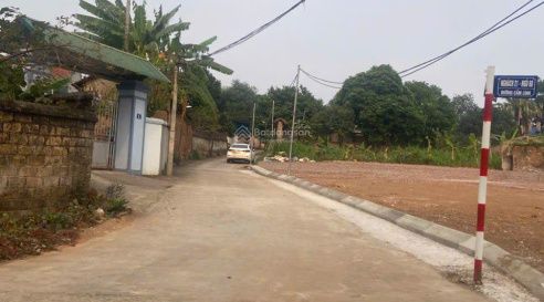 Hình 4