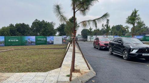 Ảnh minh họa 5