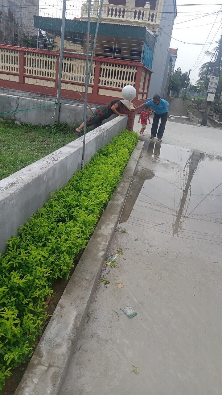 Cảnh quan dọc tuyến đường đồng bộ, xanh mát và sạch sẽ