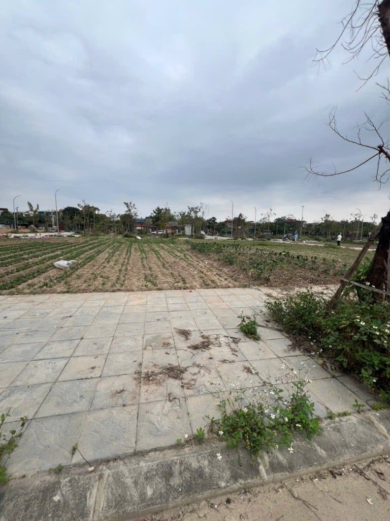 Hình ảnh đất ở ngõ hẻm