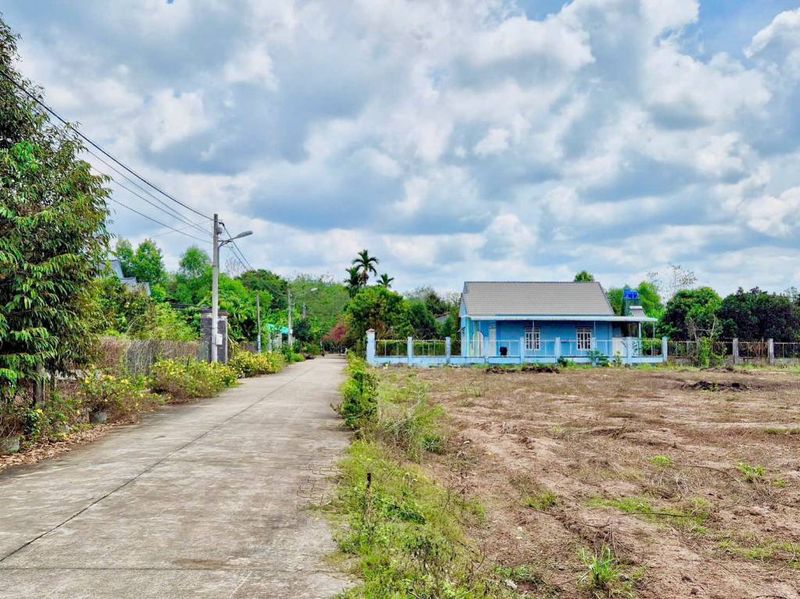 Ảnh minh họa 3