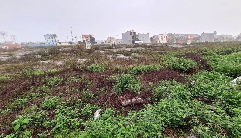Hiện trạng thửa đất và phân lô