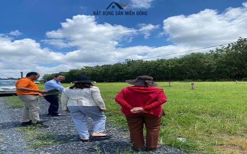 Minh họa chiến lược đầu tư