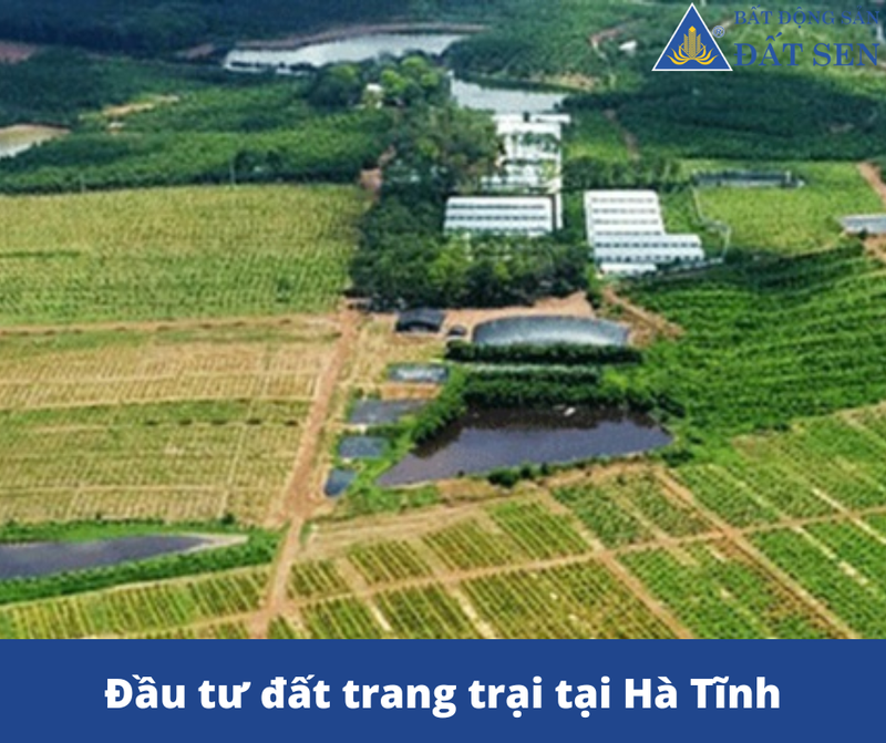 Sơ đồ quy hoạch