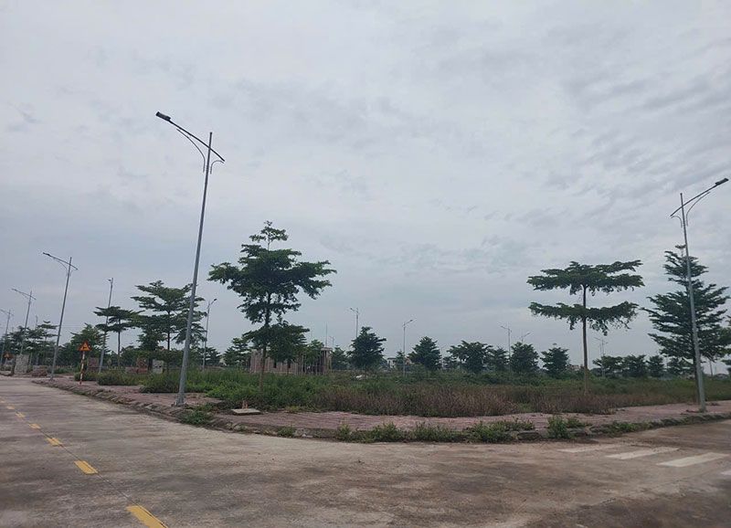 Phân tích thị trường quanh bến xe