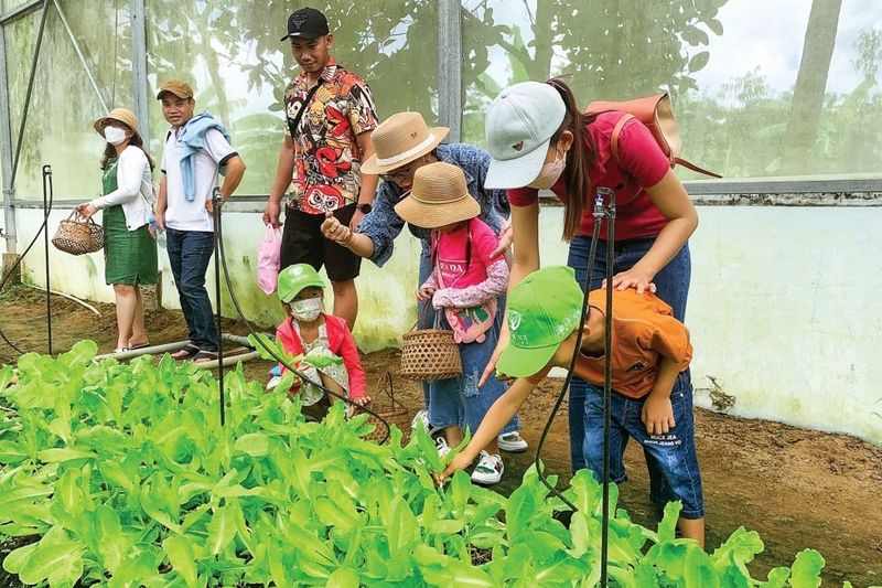 Cảnh nông nghiệp tại miền quê
