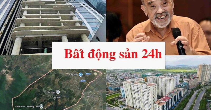 Minh họa thị trường đất