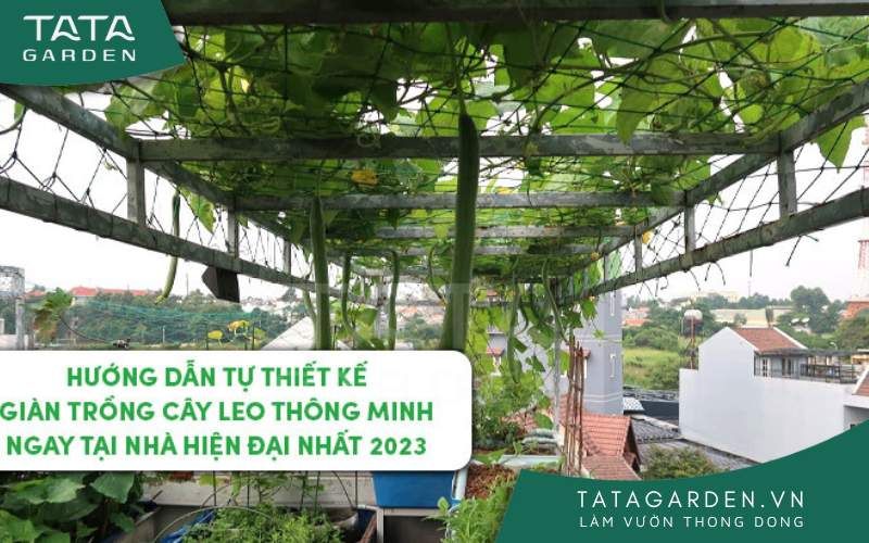 Thiết kế giàn trồng thông minh