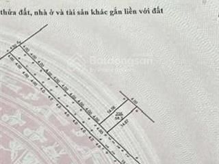 Toàn cảnh khu vực và mặt bằng mẫu