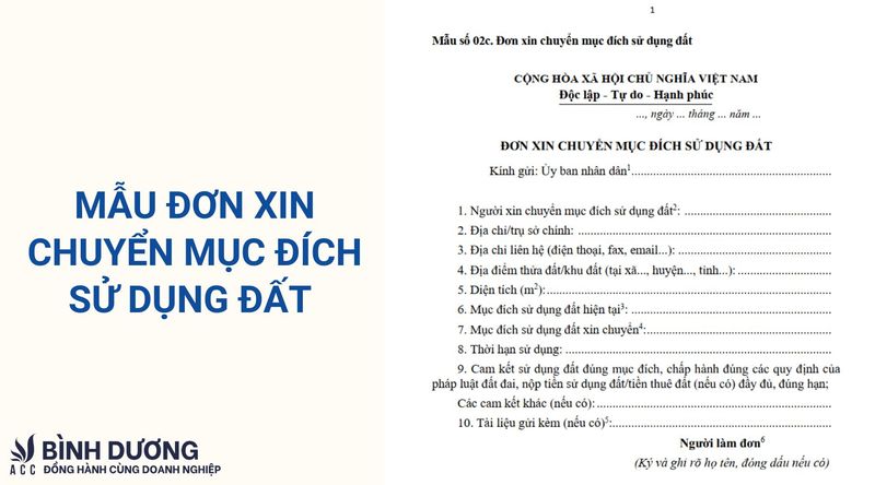 Mẫu đơn 1