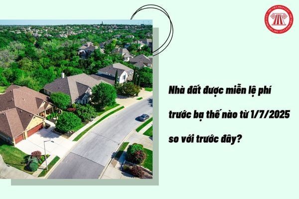 Các bước thủ tục pháp lý