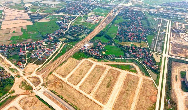 Thông tin đấu giá và thanh khoản