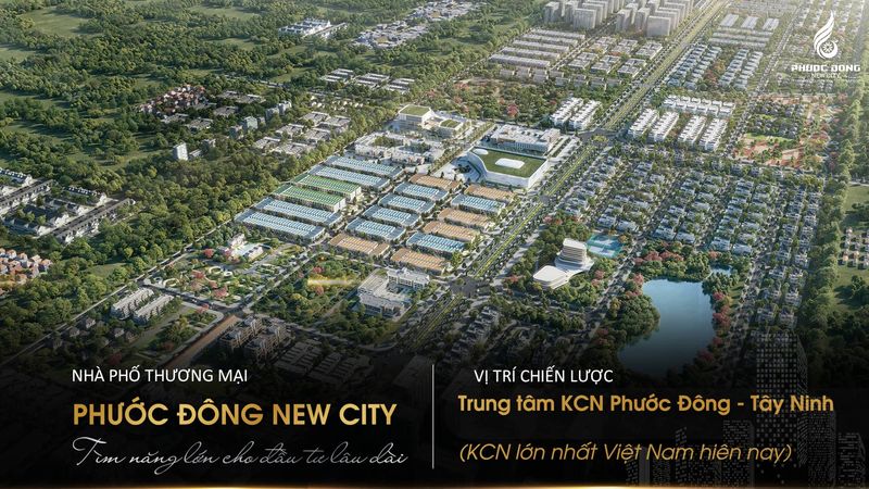 Phân tích tiềm năng