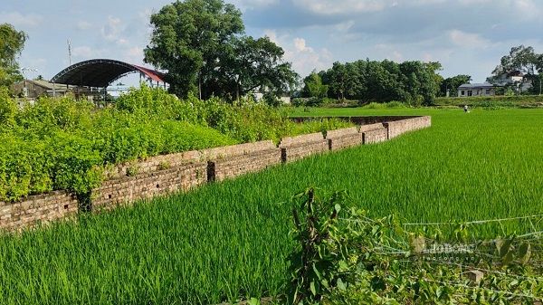 Bản đồ quy hoạch mẫu