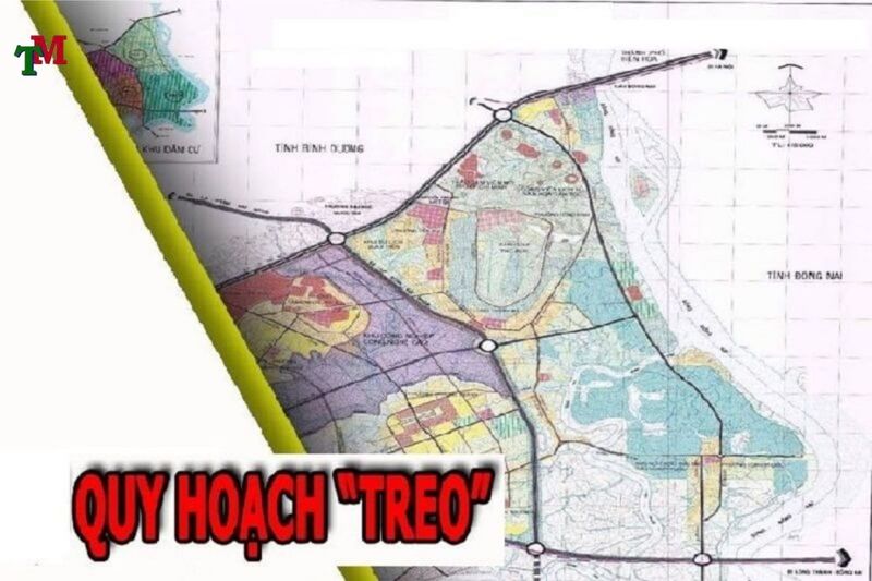 Ảnh minh họa 4