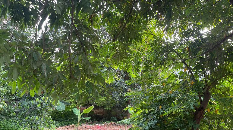 Thôn Đoài Phụ Lộ