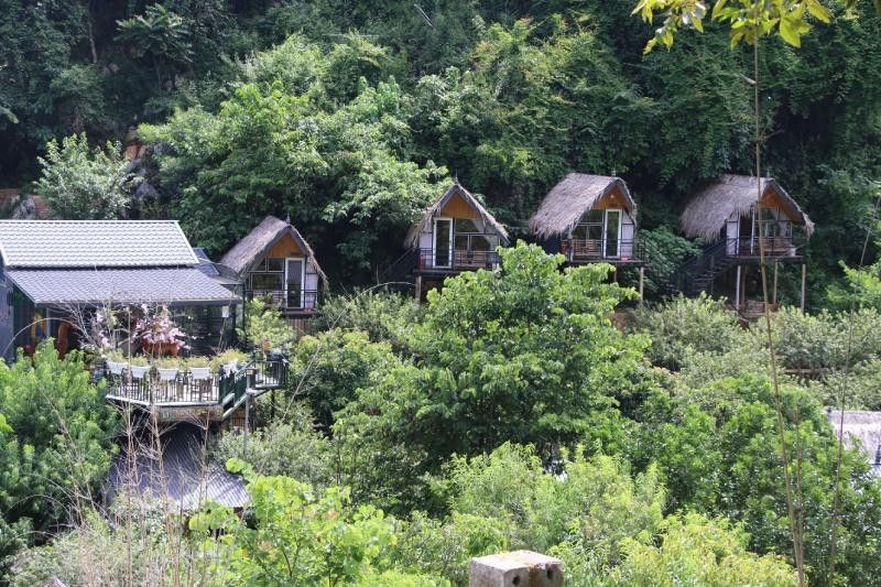 Ảnh minh họa thiết kế nội thất và không gian homestay
