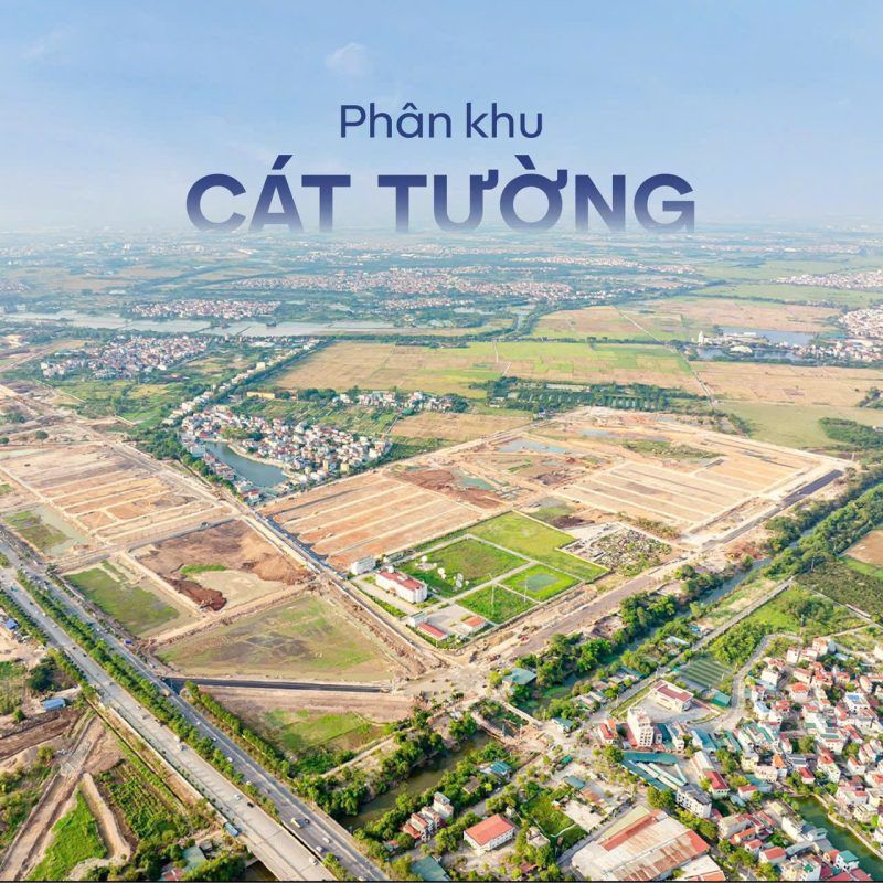 ảnh thực tế