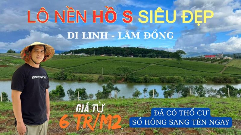 Hình 4