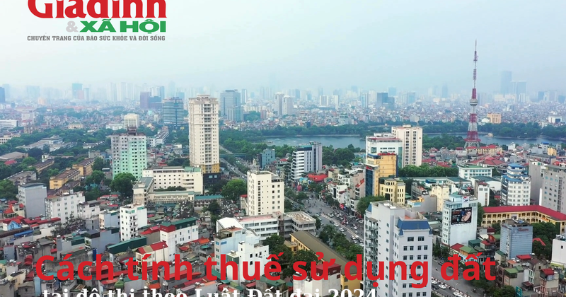 Hình ảnh minh họa quy trình nộp thuế đất