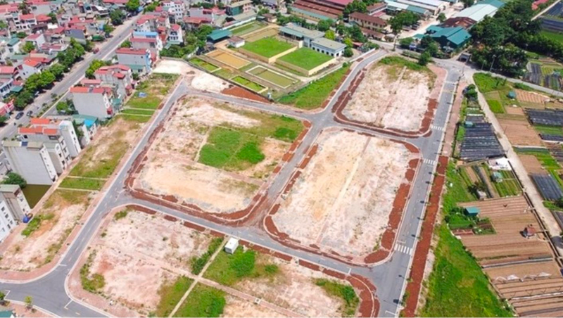 Ảnh minh họa 3