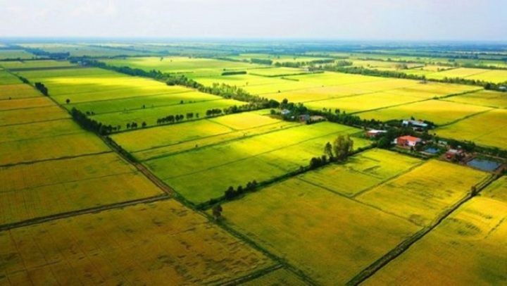 Hình ảnh đất nền Xuân Đoài