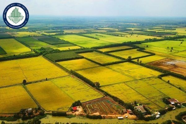 Quy hoạch sử dụng đất và tuân thủ pháp luật là yếu tố then chốt trong phát triển chăn nuôi tập trung