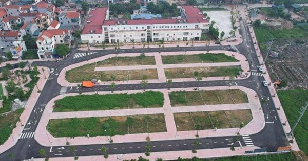 Đất nền