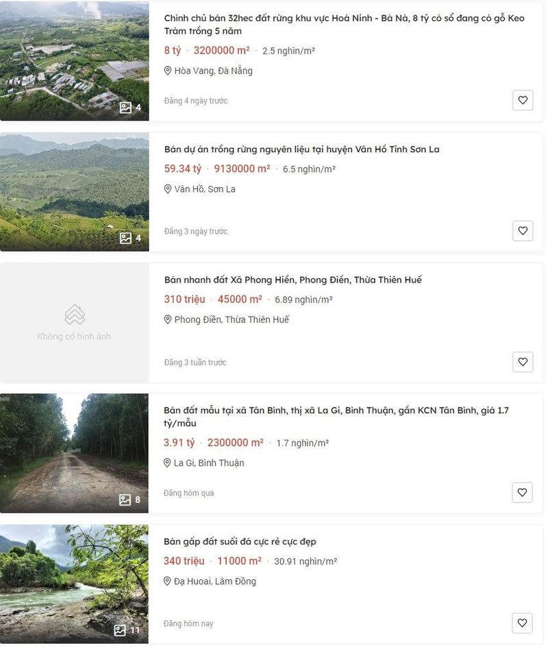 Đất rừng và hiện trạng phát triển