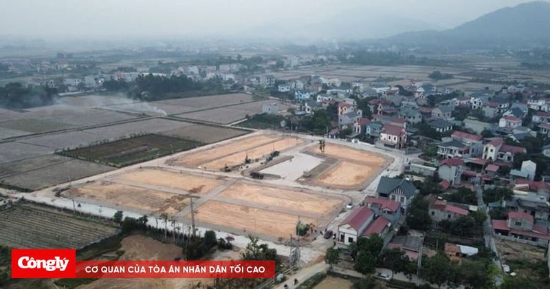 Đấu giá đất ở Sóc Sơn