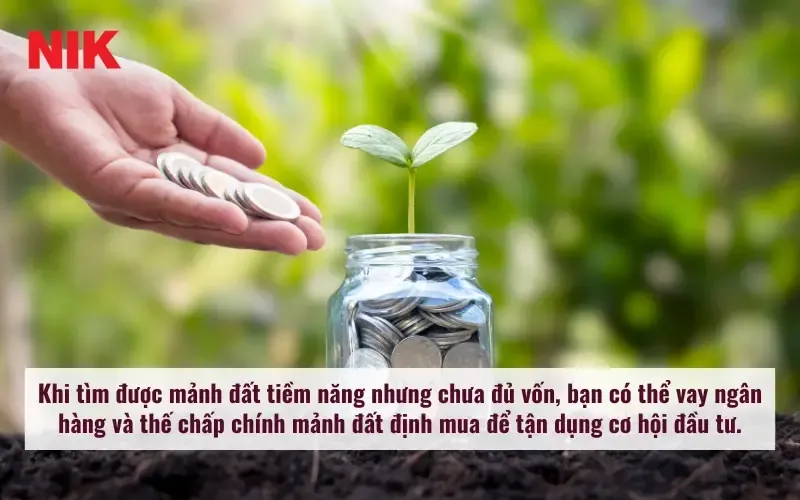 Quy trình đầu tư