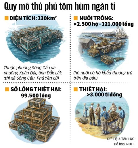 Đồ họa tôm hùm